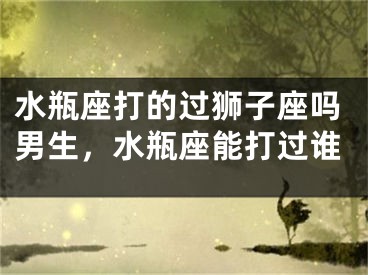 水瓶座打的过狮子座吗男生，水瓶座能打过谁
