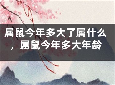 属鼠今年多大了属什么，属鼠今年多大年龄