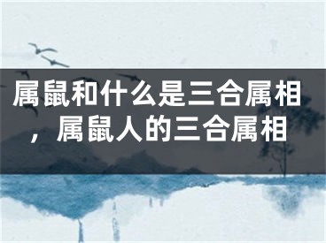 属鼠和什么是三合属相，属鼠人的三合属相
