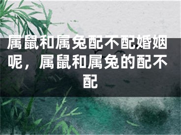 属鼠和属兔配不配婚姻呢，属鼠和属兔的配不配