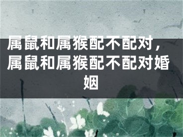 属鼠和属猴配不配对，属鼠和属猴配不配对婚姻