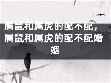 属鼠和属虎的配不配，属鼠和属虎的配不配婚姻