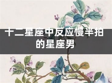 十二星座中反应慢半拍的星座男