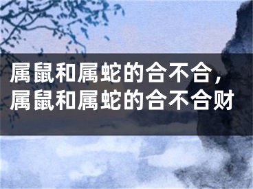 属鼠和属蛇的合不合，属鼠和属蛇的合不合财
