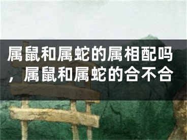 属鼠和属蛇的属相配吗，属鼠和属蛇的合不合