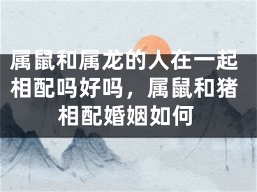 属鼠和属龙的人在一起相配吗好吗，属鼠和猪相配婚姻如何