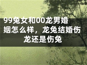 99兔女和00龙男婚姻怎么样，龙兔结婚伤龙还是伤兔