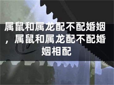 属鼠和属龙配不配婚姻，属鼠和属龙配不配婚姻相配