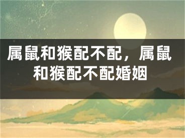属鼠和猴配不配，属鼠和猴配不配婚姻
