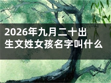 2026年九月二十出生文姓女孩名字叫什么