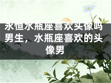 永恒水瓶座喜欢头像吗男生，水瓶座喜欢的头像男 