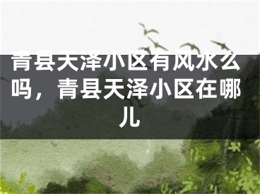 青县天泽小区有风水么吗，青县天泽小区在哪儿 