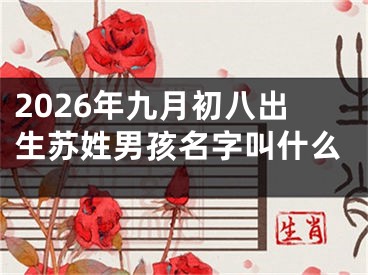 2026年九月初八出生苏姓男孩名字叫什么 