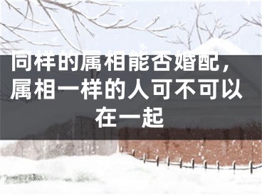 同样的属相能否婚配，属相一样的人可不可以在一起