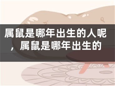 属鼠是哪年出生的人呢，属鼠是哪年出生的