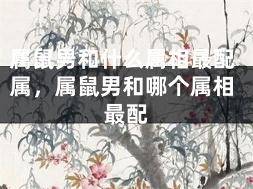 属鼠男和什么属相最配属，属鼠男和哪个属相最配