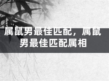 属鼠男最佳匹配，属鼠男最佳匹配属相