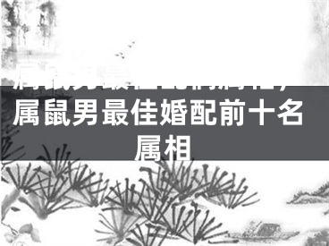 属鼠男最佳配偶属相，属鼠男最佳婚配前十名属相