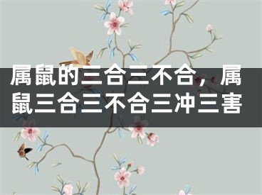 属鼠的三合三不合，属鼠三合三不合三冲三害