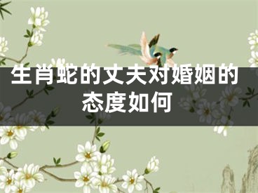 生肖蛇的丈夫对婚姻的态度如何