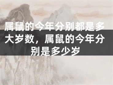 属鼠的今年分别都是多大岁数，属鼠的今年分别是多少岁