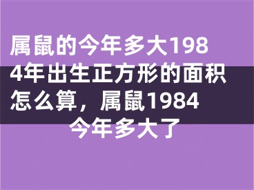 属鼠的今年多大1984年出生正方形的面积怎么算,属鼠1984今年多大了