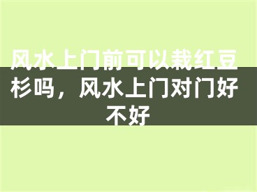 风水上门前可以栽红豆杉吗，风水上门对门好不好