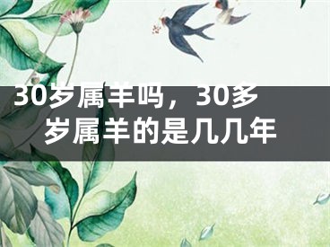 30岁属羊吗，30多岁属羊的是几几年