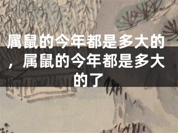 属鼠的今年都是多大的，属鼠的今年都是多大的了