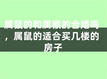 属鼠的和属猴的合婚吗，属鼠的适合买几楼的房子