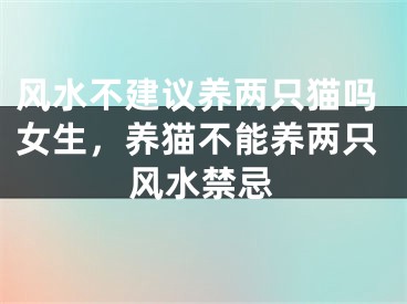 风水不建议养两只猫吗女生，养猫不能养两只风水禁忌
