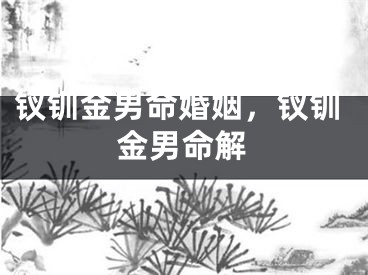 钗钏金男命婚姻，钗钏金男命解