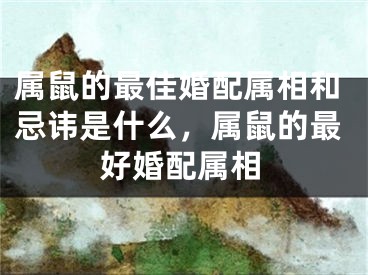 属鼠的最佳婚配属相和忌讳是什么，属鼠的最好婚配属相