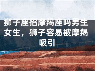 狮子座招摩羯座吗男生女生,狮子容易被摩羯吸引