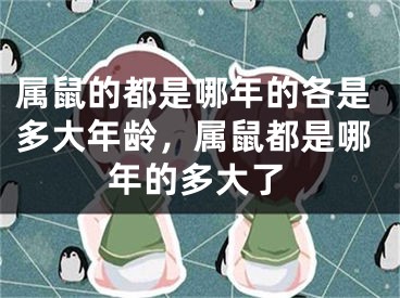 属鼠的都是哪年的各是多大年龄,属鼠都是哪年的多大了