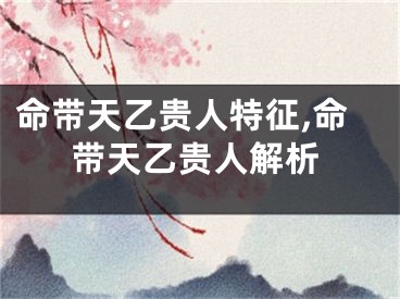命带天乙贵人特征,命带天乙贵人解析