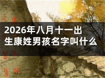 2026年八月十一出生康姓男孩名字叫什么