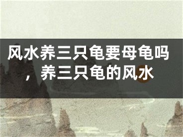 风水养三只龟要母龟吗，养三只龟的风水