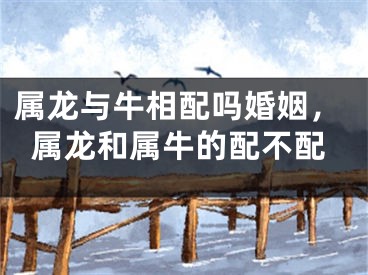 属龙与牛相配吗婚姻，属龙和属牛的配不配