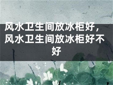 风水卫生间放冰柜好,风水卫生间放冰柜好不好