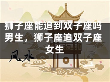狮子座能追到双子座吗男生，狮子座追双子座女生