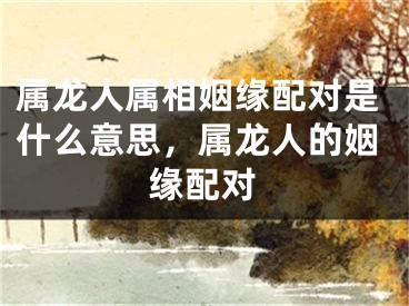 属龙人属相姻缘配对是什么意思，属龙人的姻缘配对