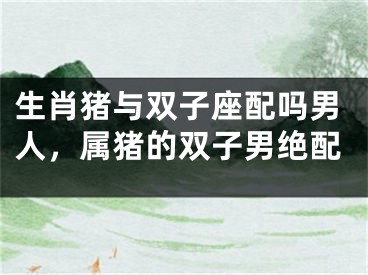 生肖猪与双子座配吗男人，属猪的双子男绝配