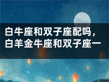 白牛座和双子座配吗,白羊金牛座和双子座一