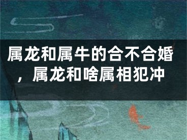属龙和属牛的合不合婚，属龙和啥属相犯冲