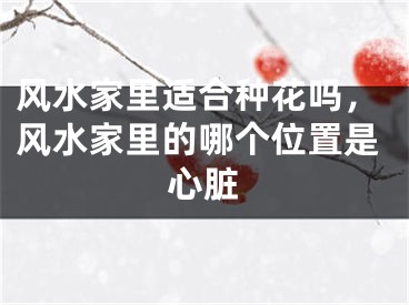 风水家里适合种花吗，风水家里的哪个位置是心脏
