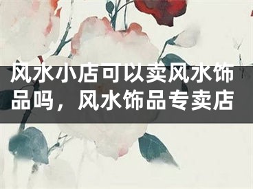 风水小店可以卖风水饰品吗,风水饰品专卖店