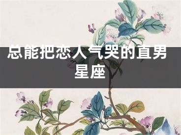 总能把恋人气哭的直男星座