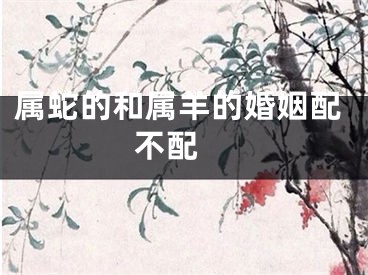 属蛇的和属羊的婚姻配不配
