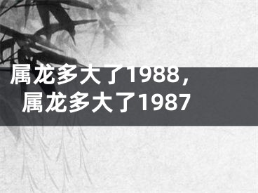 属龙多大了1988，属龙多大了1987